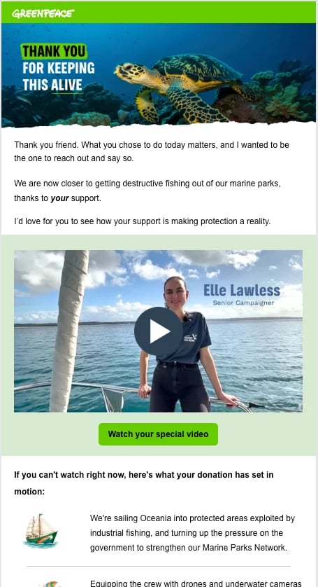 Greenpeace thank you email with sea turtle image and a video from the Campaigner about marine conservation