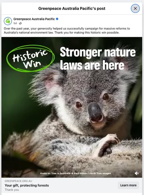 Greenpeace Australia Pacific social media post featuring a koala with text Historic Win and Stronger nature laws are here celebrating environmental law reforms